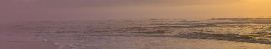 2025 Southeast Bankruptcy Workshop